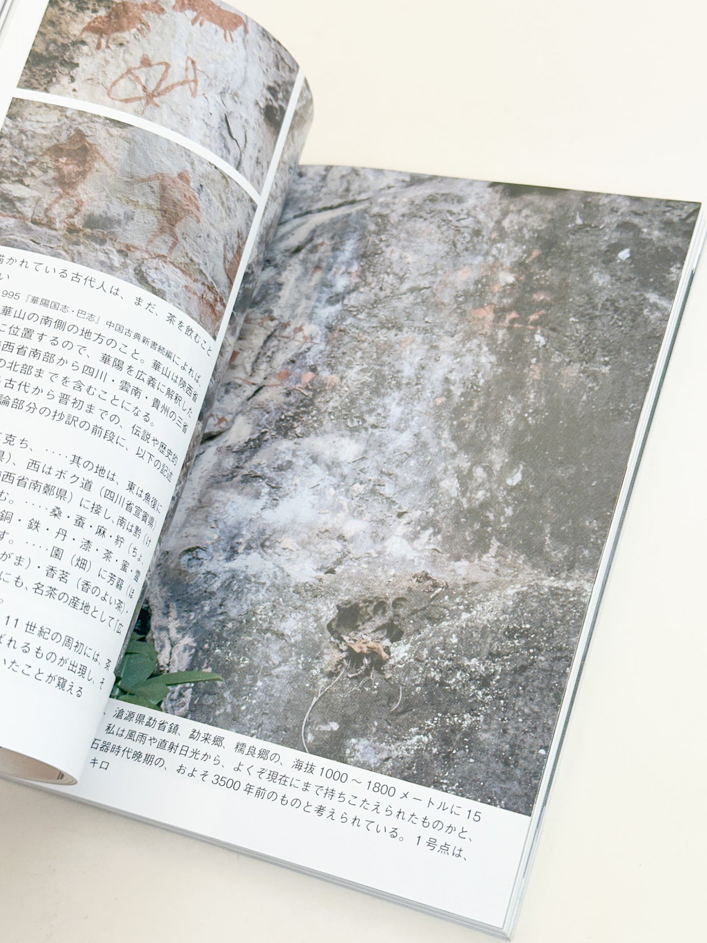 BK55 - Stationery and Scholar’s Objects Magazine 小さな蕾