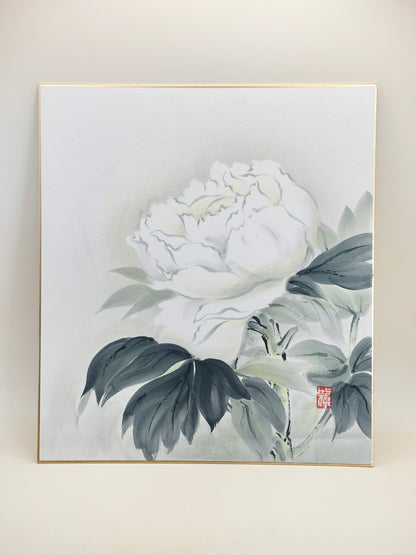 SHP209 - Hand-Painted Shikishi – White Peony 牡丹図