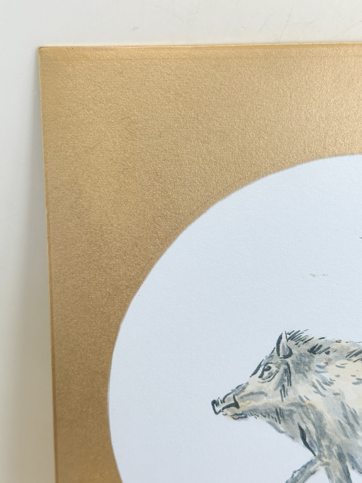 SHP398 - Shikishi Print of fuku boar 福