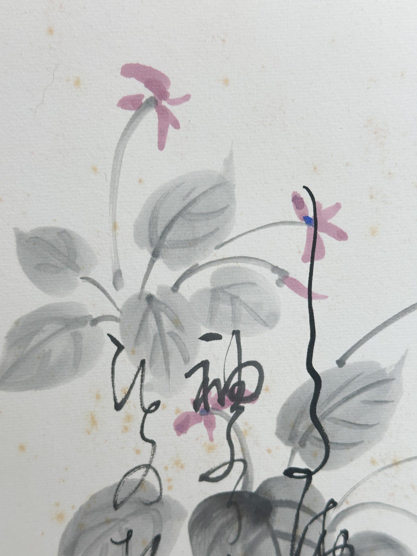SHP375 - Shikishi artwork by Hōryū Watanabe 渡辺芳翏