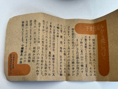 TC36 - Rustic Mikamo-yaki Chawan by Kawarai Bunjiro みかも焼