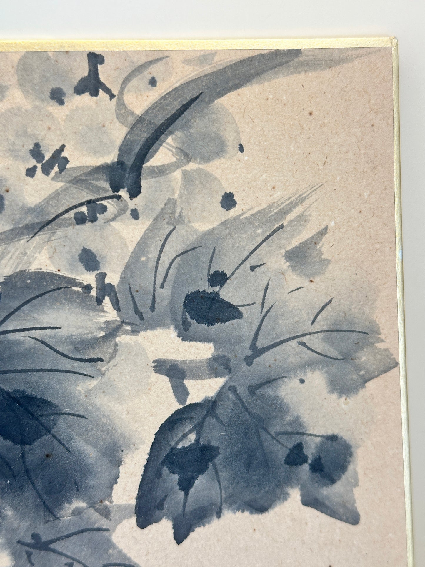 SHP214 - Ink Painting Shikishi of Hanging Grapes 葡萄図