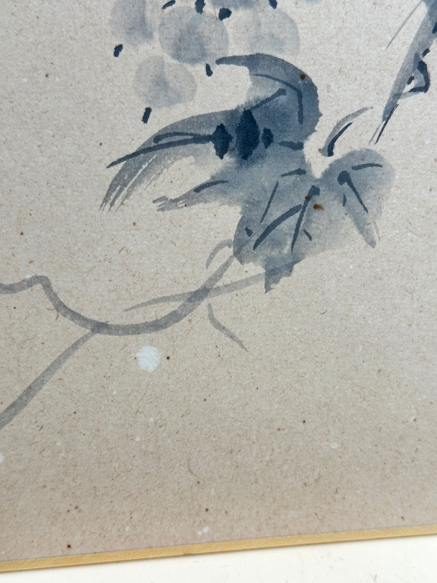 SHP214 - Ink Painting Shikishi of Hanging Grapes 葡萄図