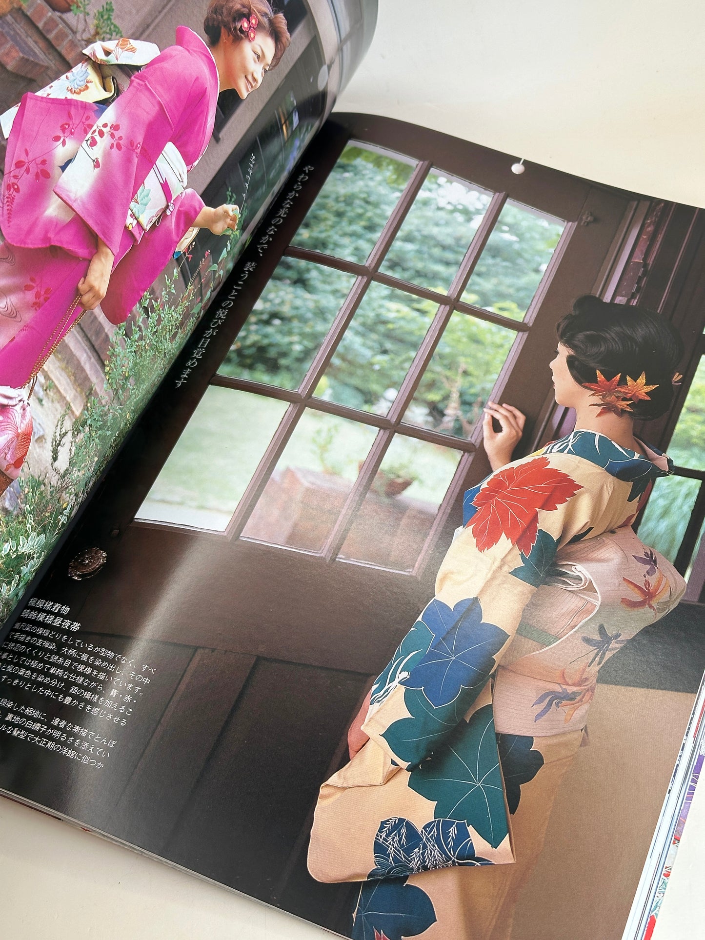 BK06 - Japan Book of Vintage Kimono 昔きものを楽しむ
