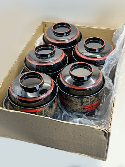 TB150 - Juego de 5 cuencos con tapa estilo laca japonesa con bandeja con asas