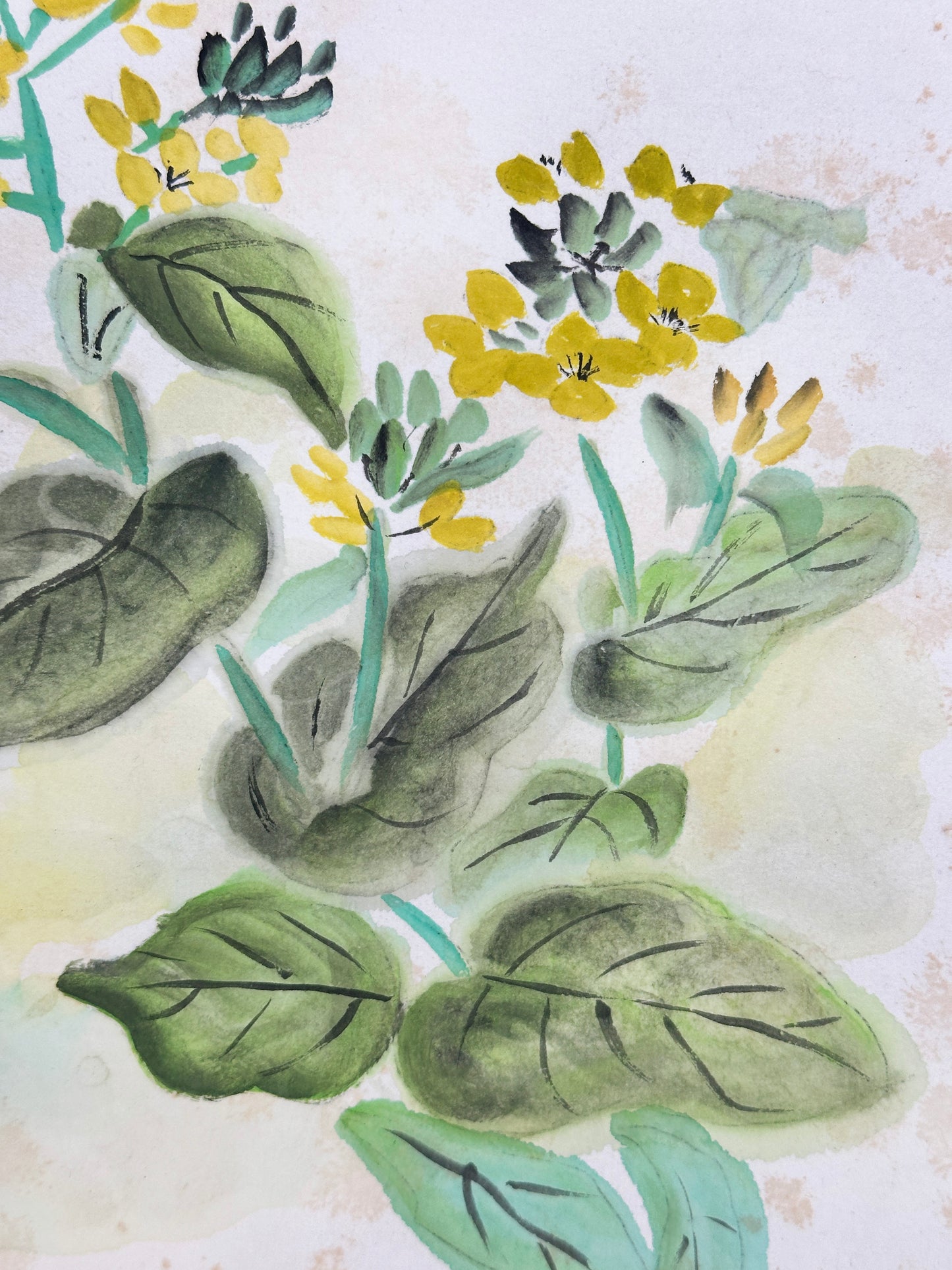 SHP220 - Hand-Painted Shikishi of Spring 春日和