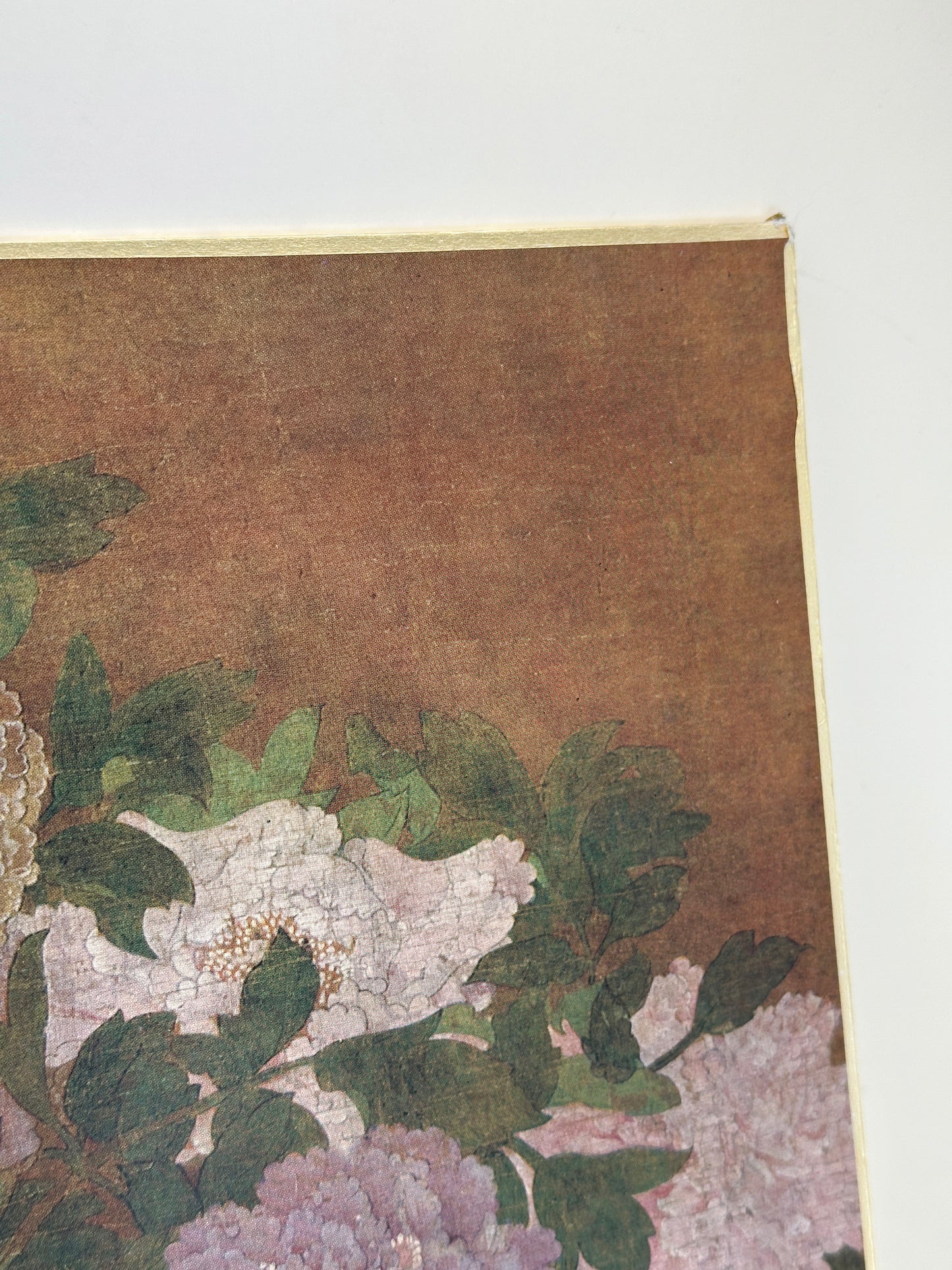 SHP296 - Shikishi Print of Peony Painting 牡丹図