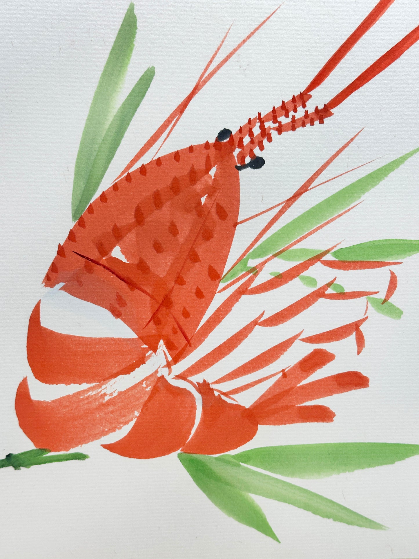 SHP224 - Shikishi Artwork –  Ise-ebi 伊勢海老