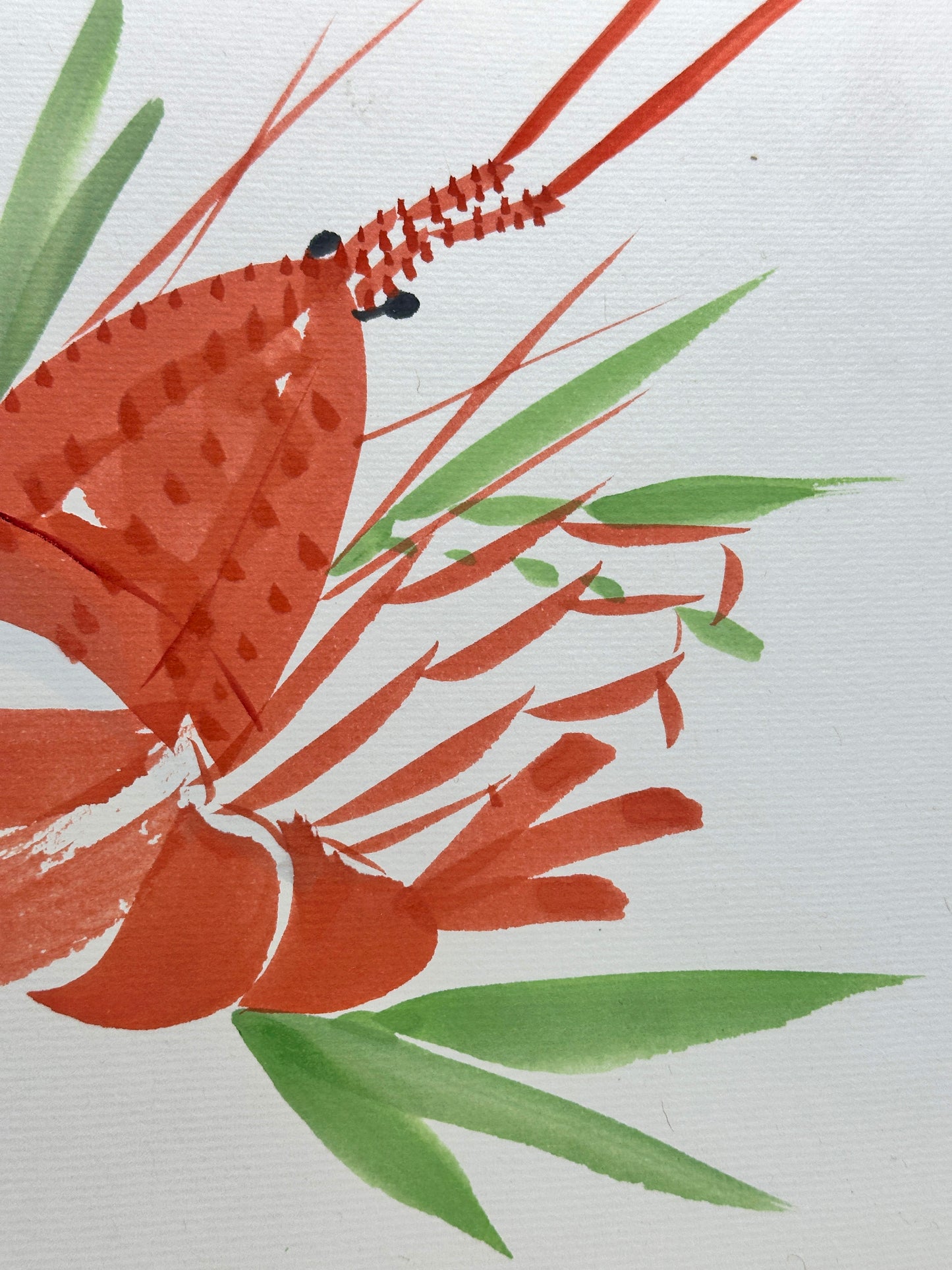 SHP224 - Shikishi Artwork –  Ise-ebi 伊勢海老