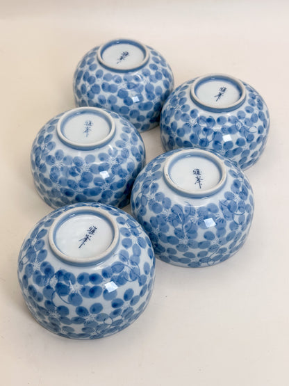 TB428 - Arita-yaki Yunomi tea cup set 有田焼