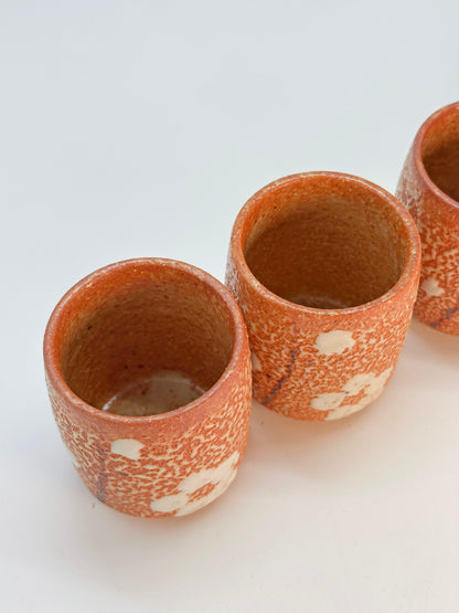TB275 - Shino-yaki yunomi tea cups 志野焼