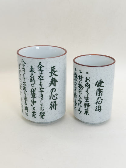 TB445 - Mino-yaki Yunomi Tea Cup Set 美濃焼