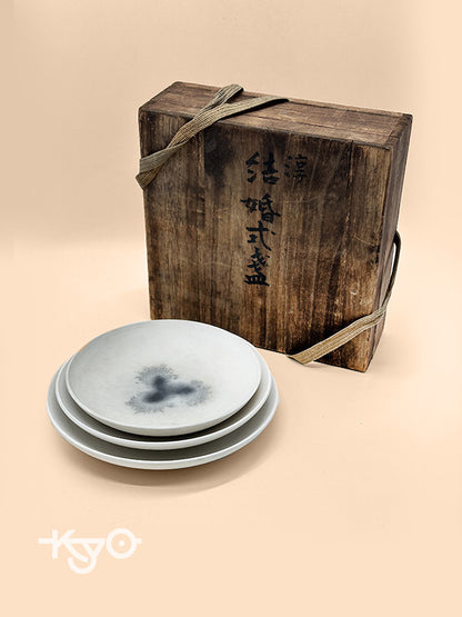 TB54 - Wabi-Sabi Ceramic Plate Set with Wooden Box