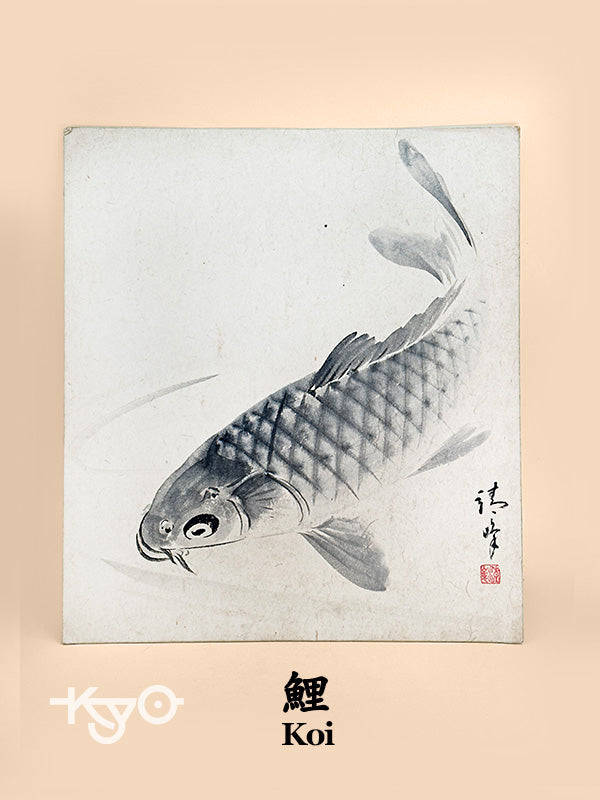 SHP258 - Obra de tinta Shikishi de peces Koi 鯉